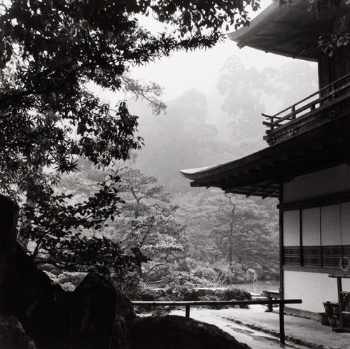 fujiwara57:Werner Bischof (1916 - 1954).Photographe et photojournaliste suisse, un despremiers photo