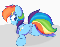 howdegrading:Rainbow Dash butt and Futa Dash butt because she’s one helluva pony.X: