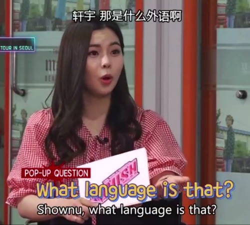 King Of Speaking In Different Languages