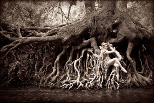 sixpenceee:  Pohtos by Kirsty Mitchell. Her Wonderland, which sees fantastical, opulent costumes in beautiful natural settings, took her six years to complete.Check out these surreal photo manipulations by Kevin Corrado. 