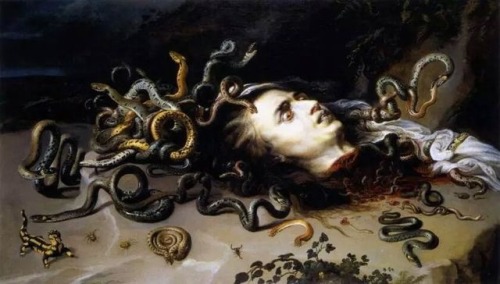 templeofapelles:Peter Paul Rubens Head of Medusa(with snakes painted by Frans Snyders) c. 1613-1618