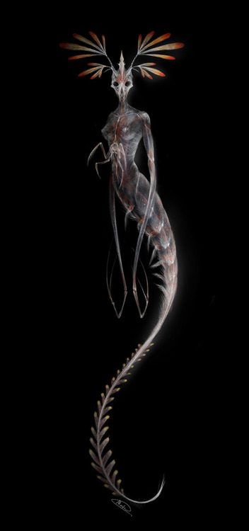 deadperson626:  Plankton Queen