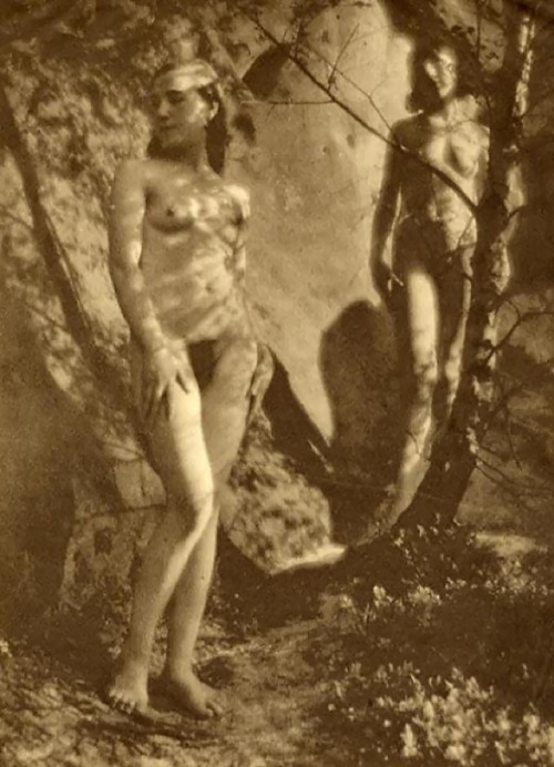 Franz Fiedler: Nu dans la forêt, 1930 
