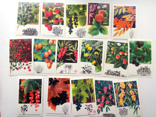 Berries (1973)