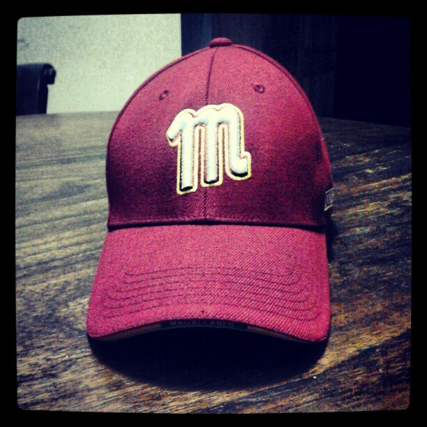 Navegantes del Magallanes Campeones de la LVBP 2012/2013 