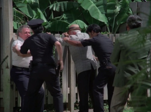 Hawaii Five-O (TV Series) - S8/E9 ’Retire in Sunny Hawaii… Forever’ (1975)Charles Durning as 