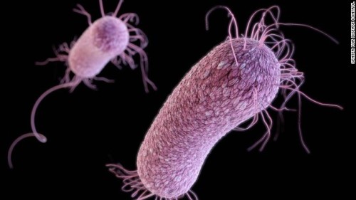 Clostridium Difficile