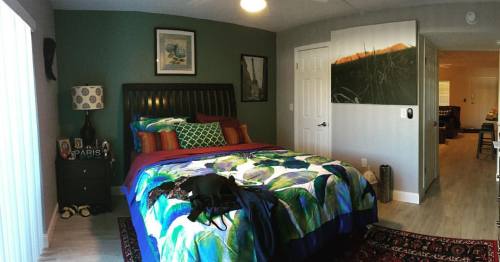 My new bedroom along with my Norman Reedus porn pictures