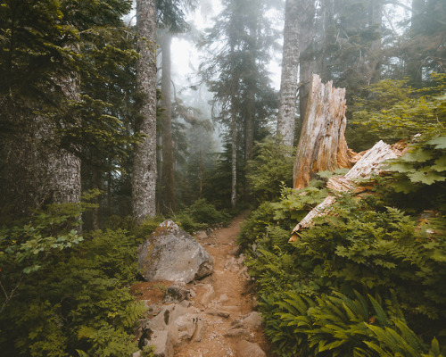 A Few turns along the trail, Washington  || IG: BToneVibes 