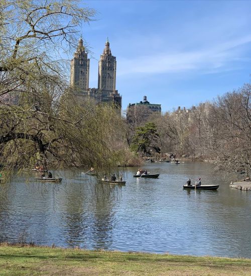 Beautiful day in the Park, including lunch and cocktails at the Boathouse and bird watching includin