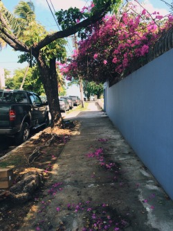 wheatfieldchild:  San Juan, Puerto Rico  This looks like a sidewalk in Orange County