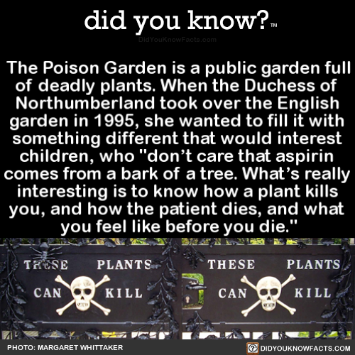 did-you-kno: The Poison Garden is a public garden full of deadly plants. When the Duchess of Northum