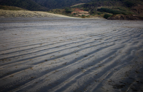 living-inbetween:Bethells Beach, Te Hunga, Waitakere, Auckland.Chasing the light 