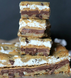 loregasmic:  thecakebar:  Chocolate Chip Cookie Peanut Butter S’mores Bars   …could you repeat that? I couldn’t hear you over the sound of me shooting my fucking load.