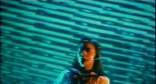 Turtle Vision (HIsayasu Sato, 1991)