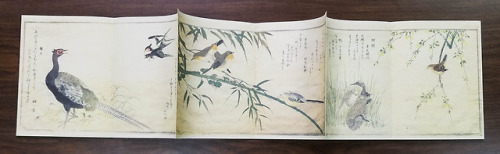 This book, Utamaro: A Chorus of Birds, is a facsimile of Japanese colored wood-block prints by Kitag