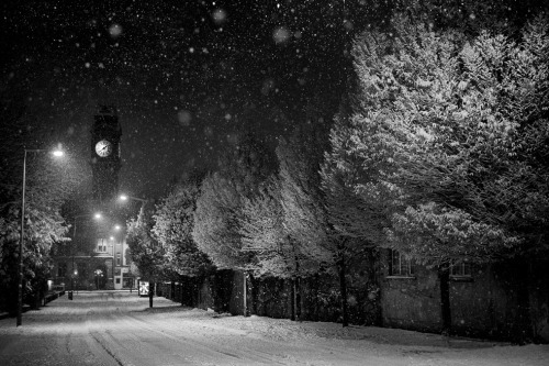 surebeatshome:Snow in Dublin