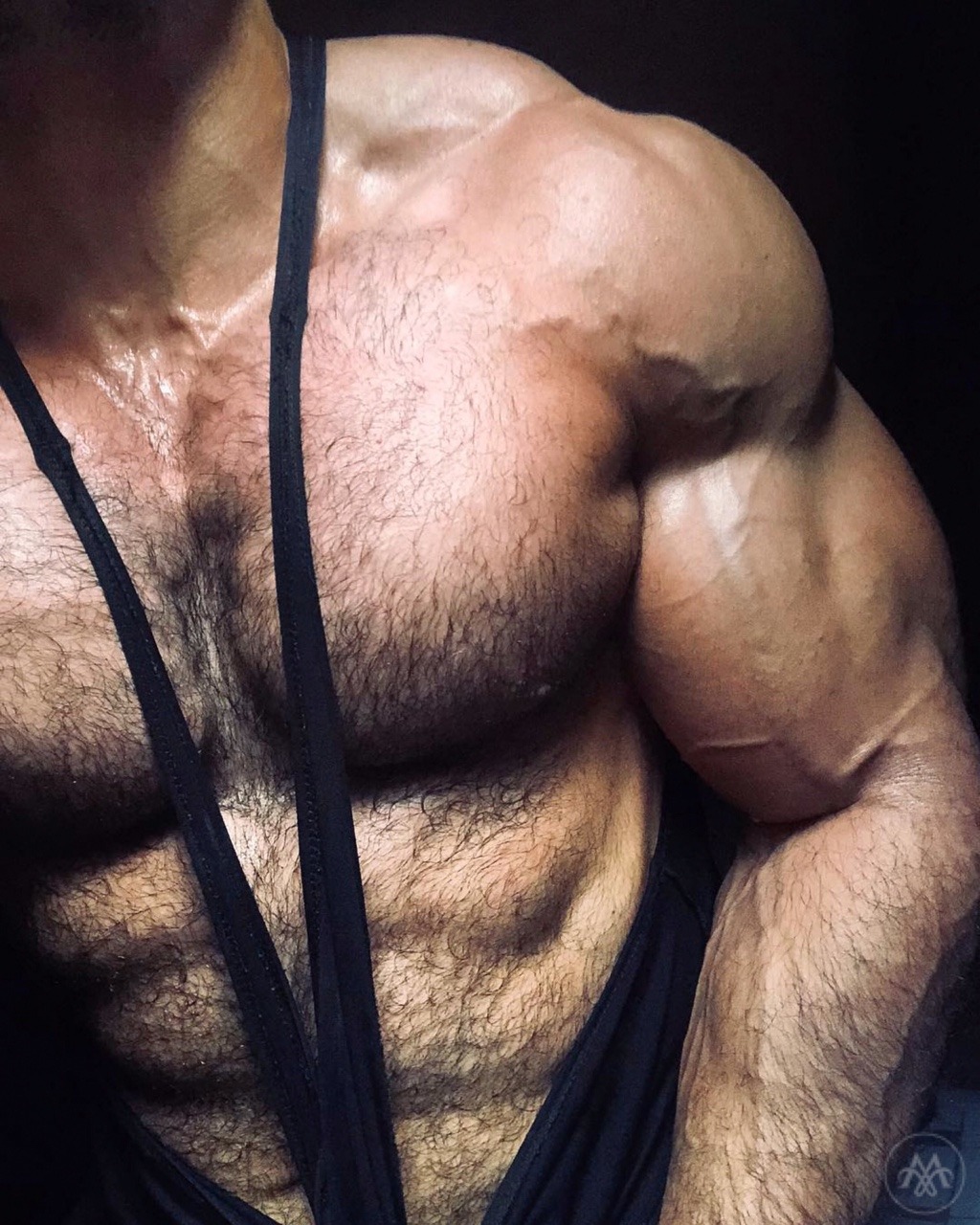 muscularworldbears: 🇧🇷 Pedro Augusto - @pedrao_gyn 