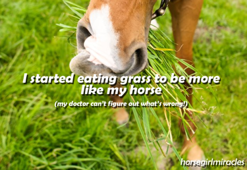 eat grass