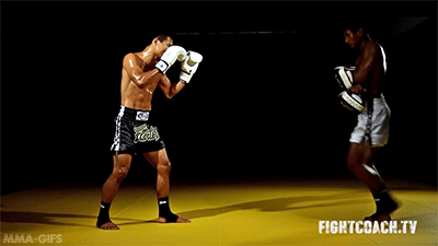 mma-gifs:  Technique of the Week: Muay Thai Front KickThe front kick (“teep”)