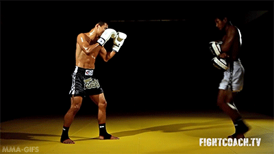 mma-gifs:  Technique of the Week: Muay Thai adult photos