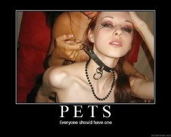 Bondage Pet 91