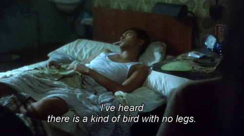 derekjarman:阿飛正傳 (Wong Kar-wai, 1990)