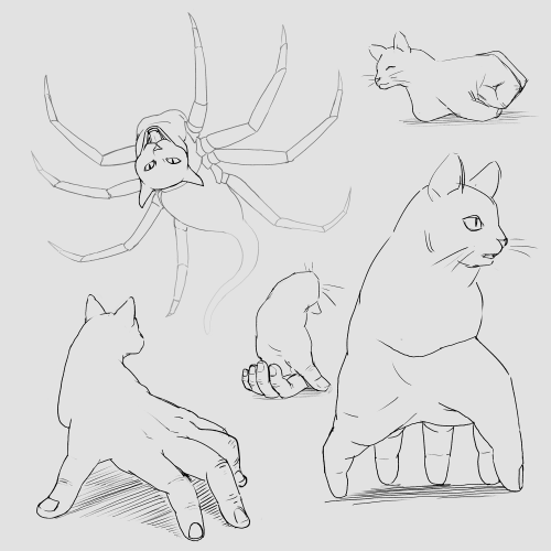 Cat Body Horror