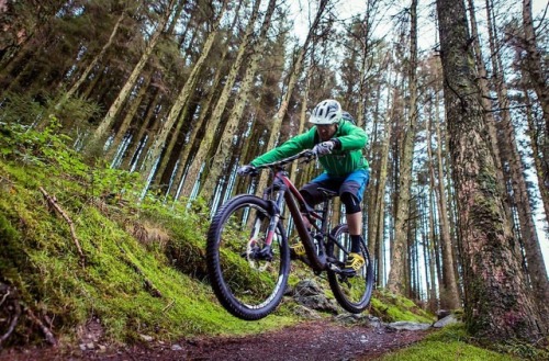 mtbcymru:Get up, grab your kit, bike, and hit the trails in #Wales #justride #mtb #findyourepic #fin
