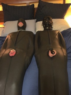 feelingknottycda:  Part 2 of the Adventures of the Sleepsack Duo.  Oh, had I neglected to mention that both of my boys were locked in their chastity belts for the preceding flogging scene, and left in them when they I put them in their sleepsacks?  Silly