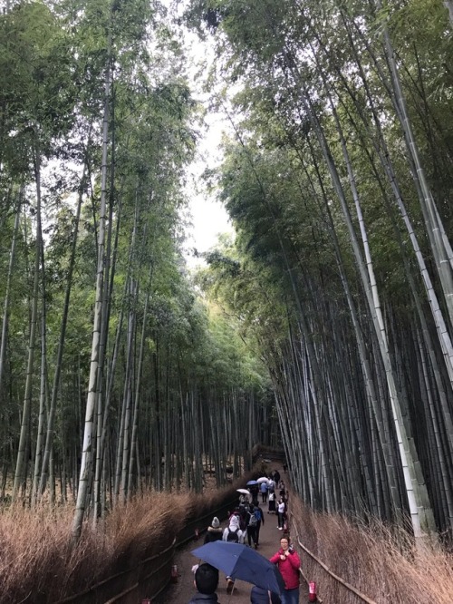 Osaka;Tokyo;Kobe, Japan