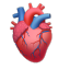humanheartemoji
