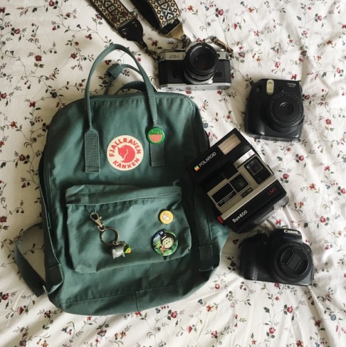 partfawn: my babies + my favorite picture