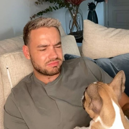 justapayneaway:Liam and Scooby: The most iconic puppies ever 