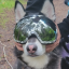 goopersupreme