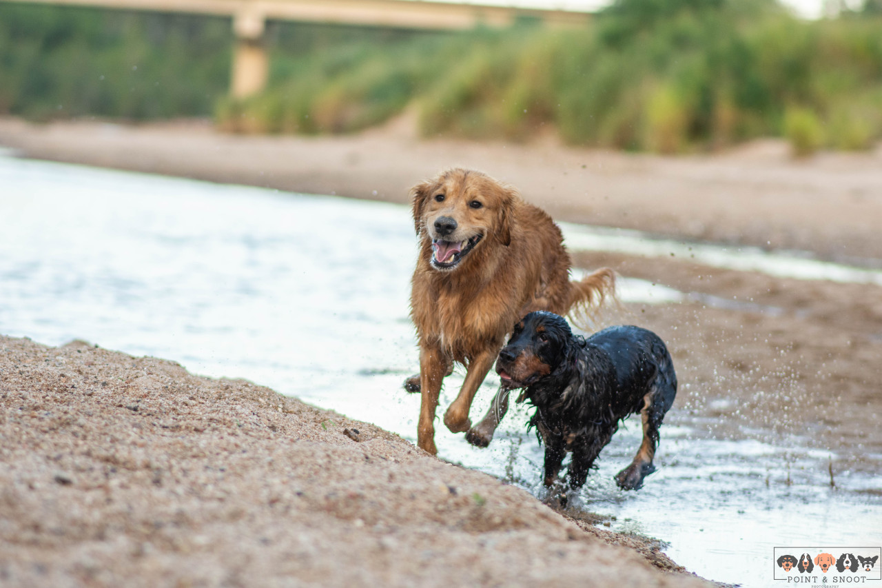 there’s an entire river bed and they choose to be glued together 