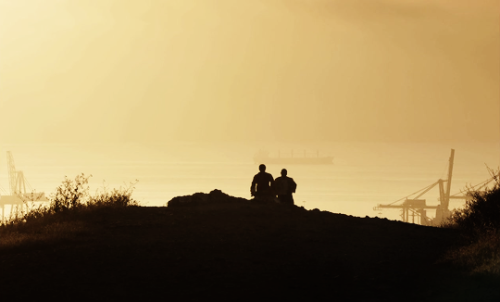 carol-danvers:The Last Black Man in San Francisco (2019), dir. Joe Talbot, cinematography by Adam Newport-Berra