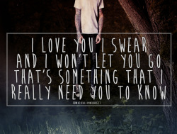 somaticallyincorrect:  The Amity Affliction