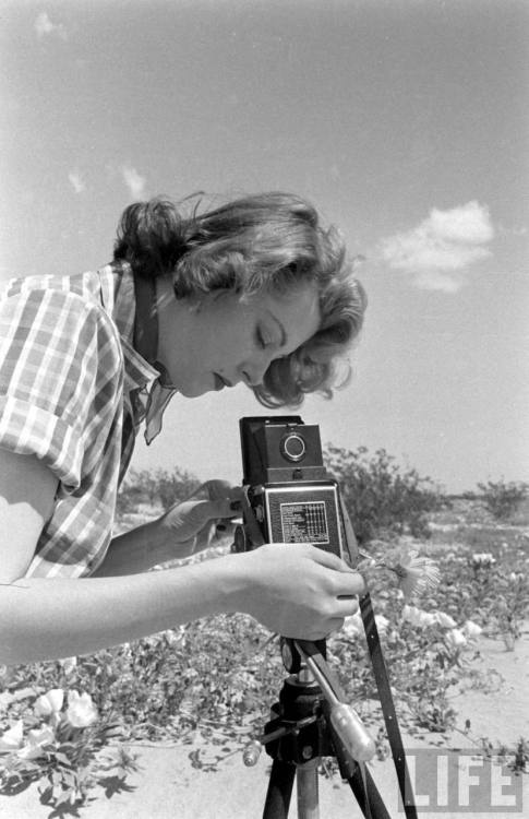 Arlene Dahl(John Florea. 1949)