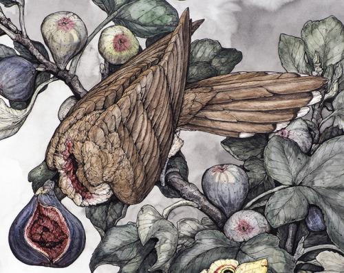 My second teaser image from my fruit-centered body of work for Antler Gallery that opens June 29th! 