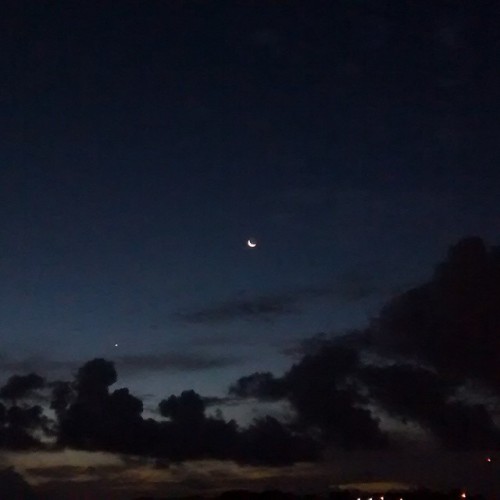 "Brilho Da Lua Oh Oh Oh, Noite Bem Tarde Penso Em Voc, Fico Com Saudade..." #CaetanoVeloso #LuaeEstrela