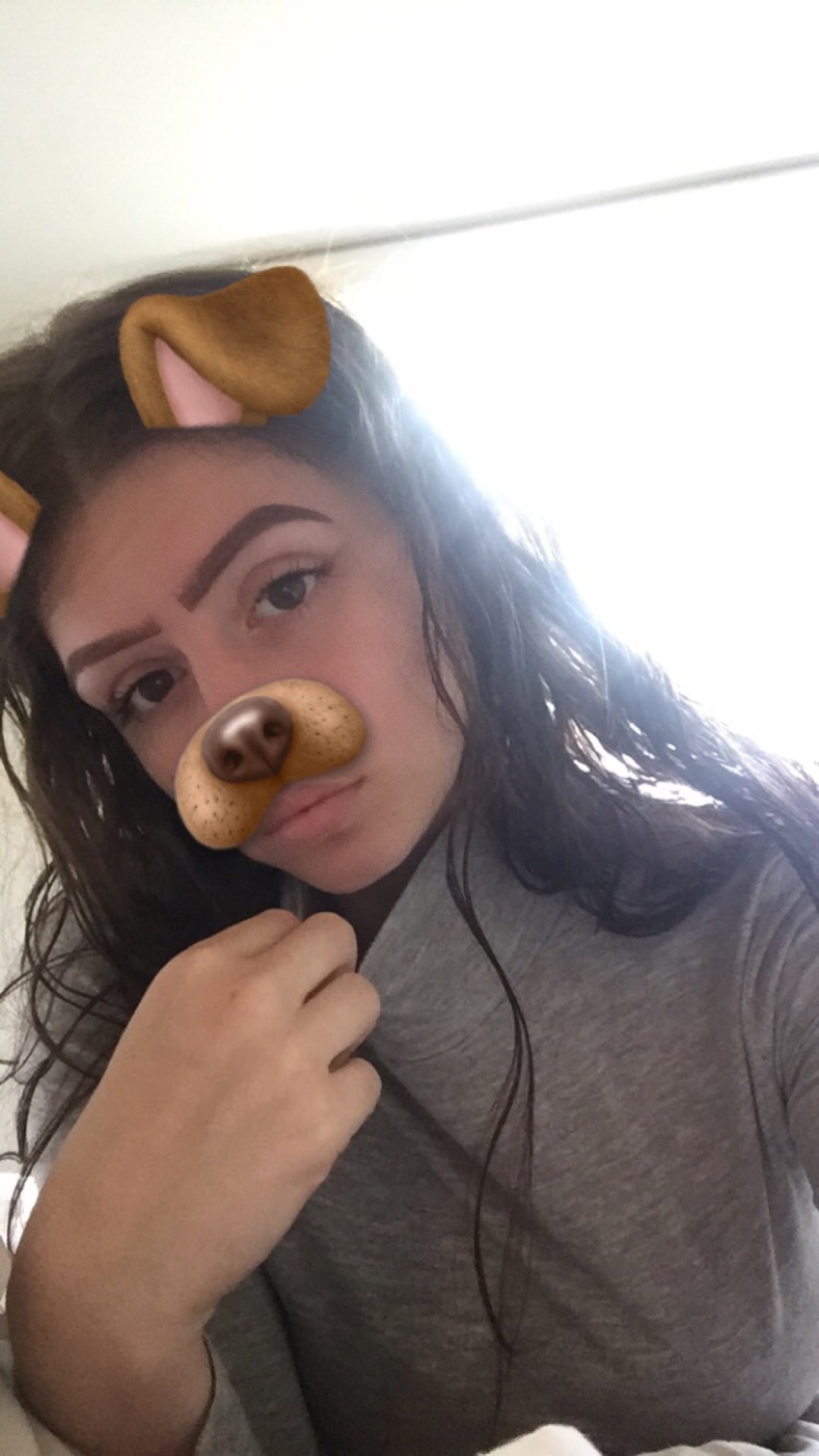 this dog filter is ruining my life