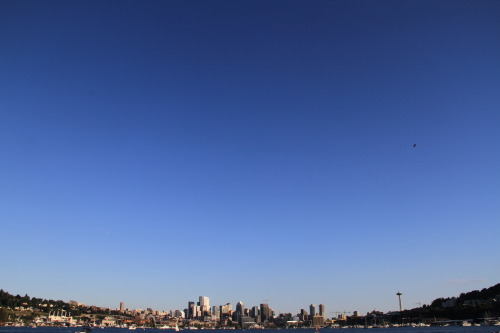 Seattle Though.