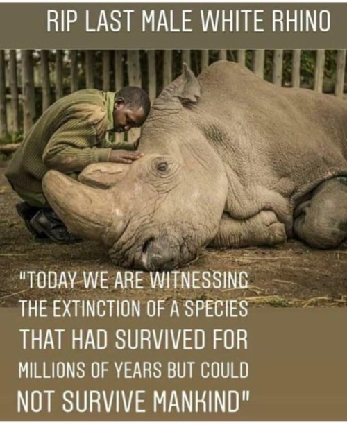 Humanity should be ashamed that this is happening to so many animals world wide. When will we learn 