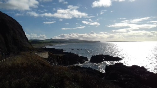 geologyedinburgh:Geology field trip to the South-West of Scotland near Ballantrae. We looked at the 