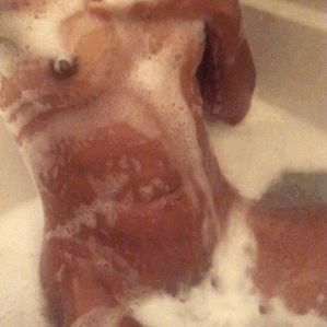 hazellisa:  Repost if you’d fuck me 💦👅 I love my bubble baths btw