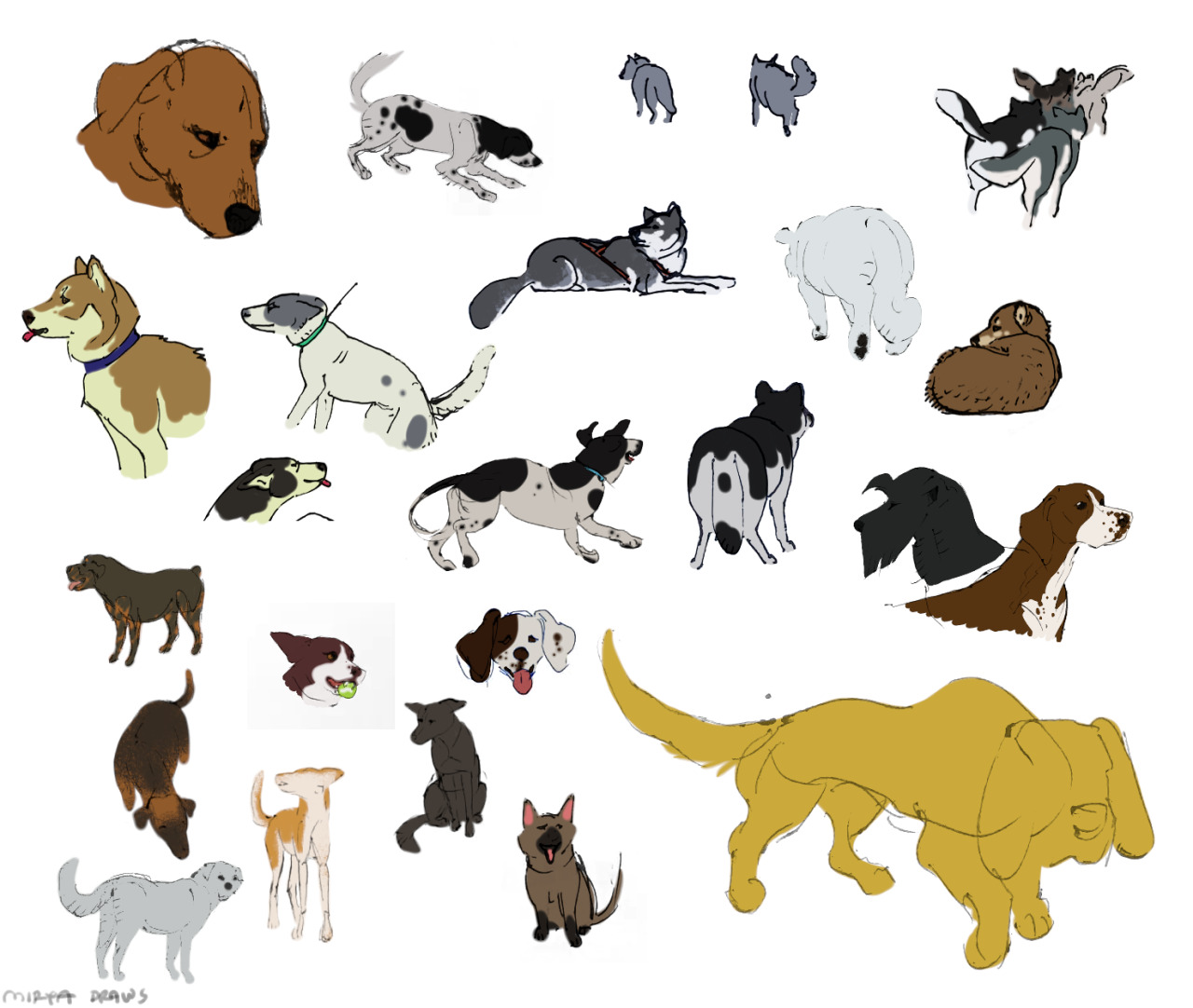 Last year I started doing “life” drawings of various dog breeds. I drew them without pausing the video. The videos I was watching were a Russian TV show about dogs called “planet of dogs” (Планета Собак). Took me a year to finish all the episodes. These are my favourite drawings from the series, coloured. #animals and nature #life drawing #life drawing from video #dog #Canis lupus familiaris #doggos#dog breeds #remote life drawing