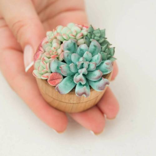 sosuperawesome:  Succulent Hair Accessories, Jewelry, Jewelry Boxes and Decor from the EtenIren Etsy shop  Browse more curated succulents  So Super Awesome is also on Facebook, Instagram and Pinterest 