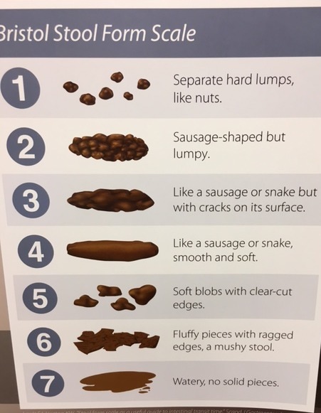 I took a picture of this weird chart about poop at my GI doctors office. Different
