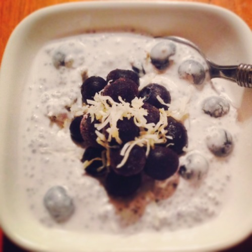 Coconut and blueberry chia pudding
This rich and decadent pudding can be enjoyed at breakfast time to kick start the day or as a creamy pleasurable dessert
Serves 1
Ingredients:
• ½ c coconut milk from a can
• 2 Tbs chia seeds
• ½ Tbs maple syrup
• ¼...